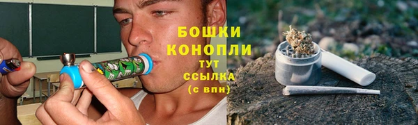 индика Усинск