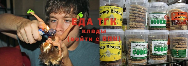индика Усинск